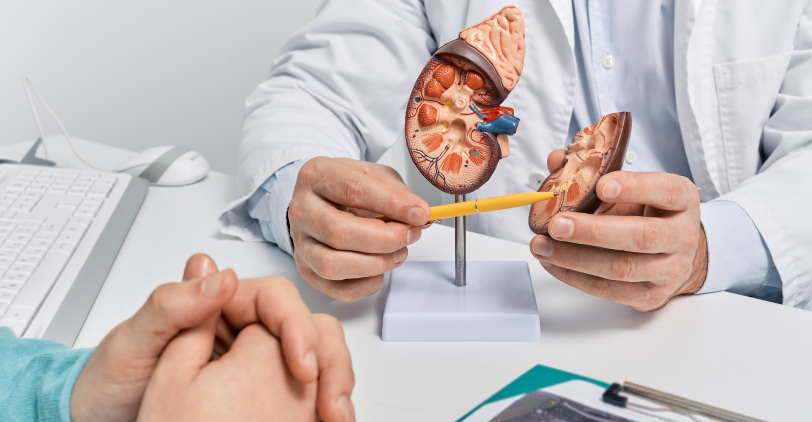 Urology